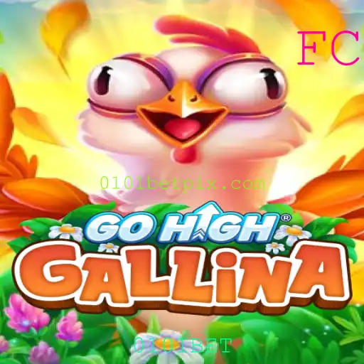 Descubra o Fascinante Mundo do GoHighGallina